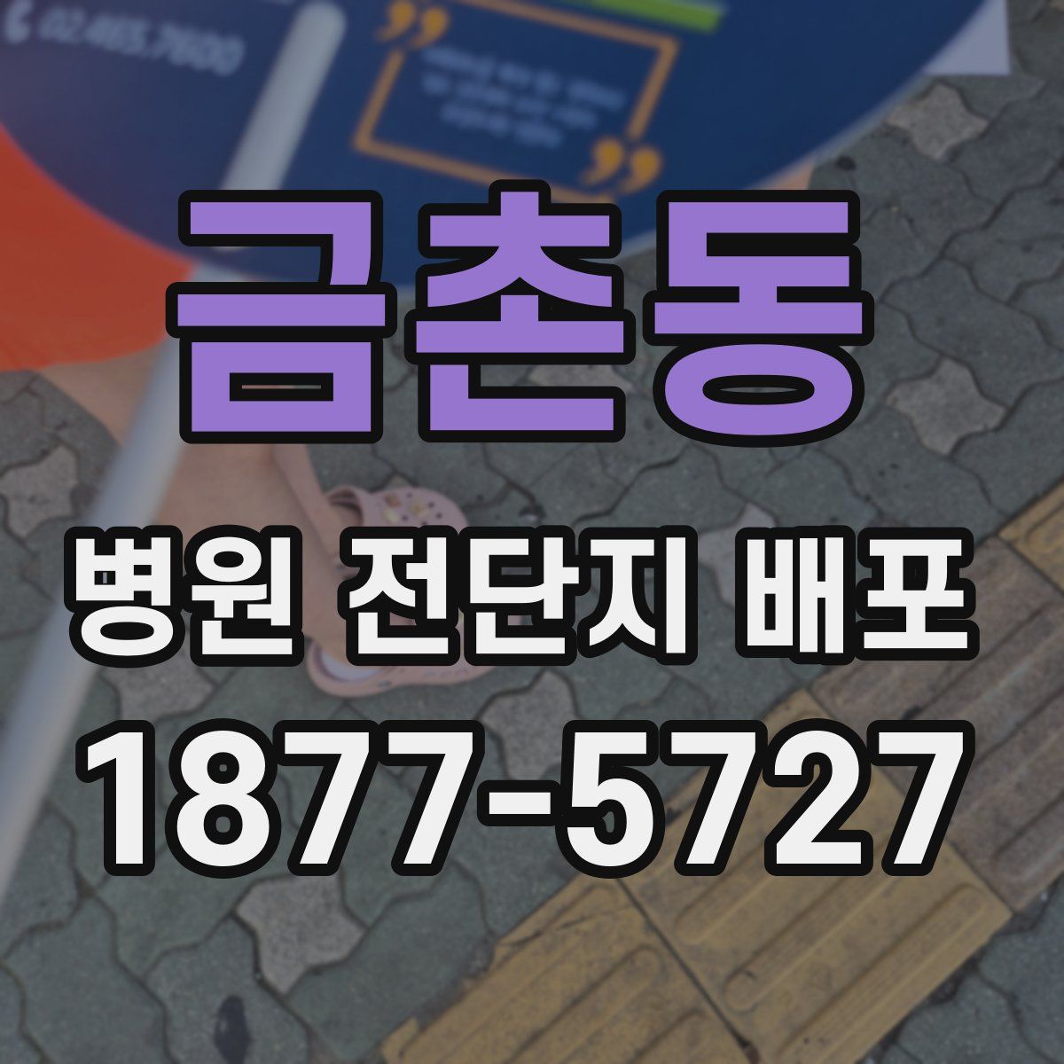 금촌동 병원 전단지 배포