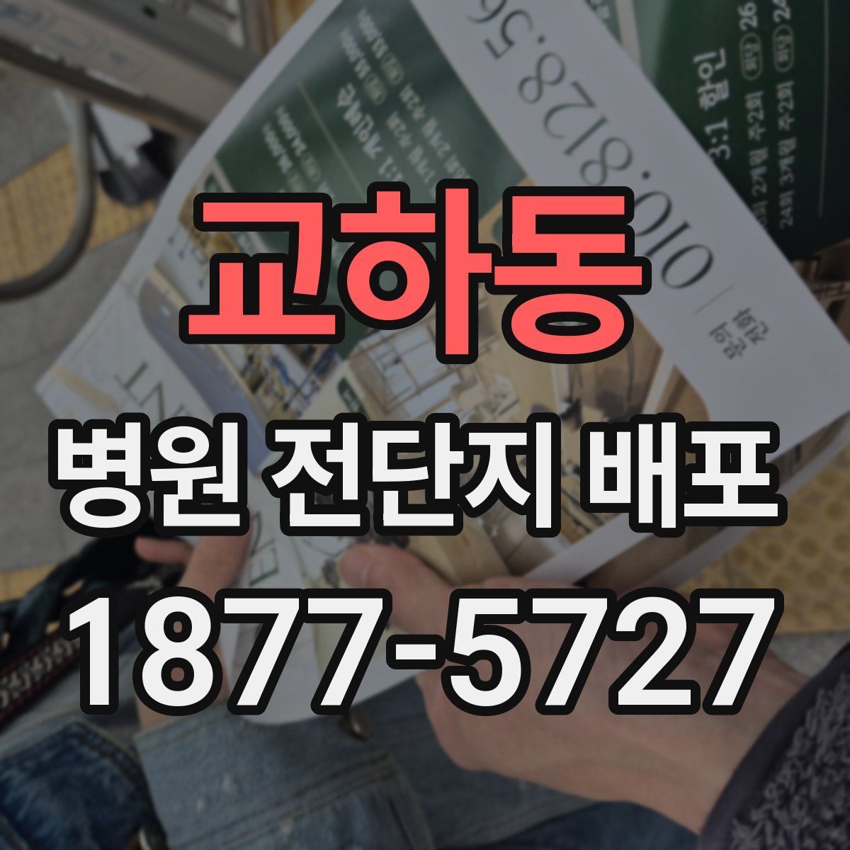 교하동 병원 전단지 배포