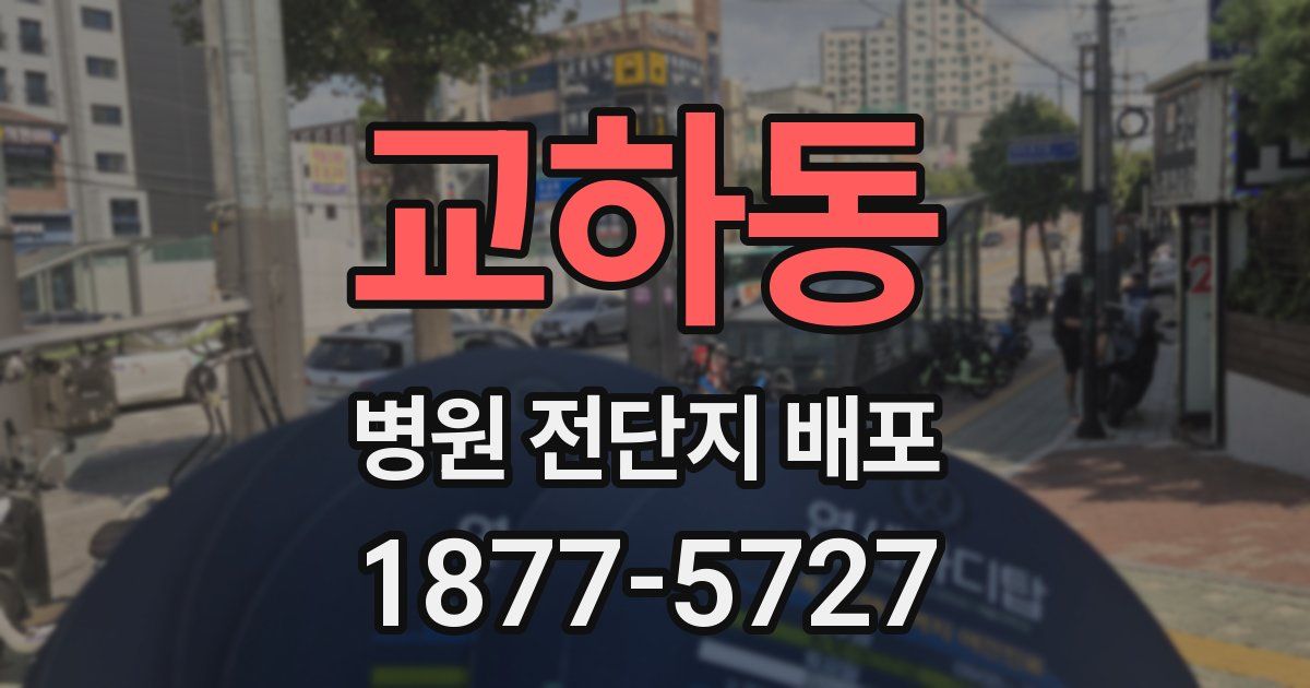교하동 병원 전단지 배포