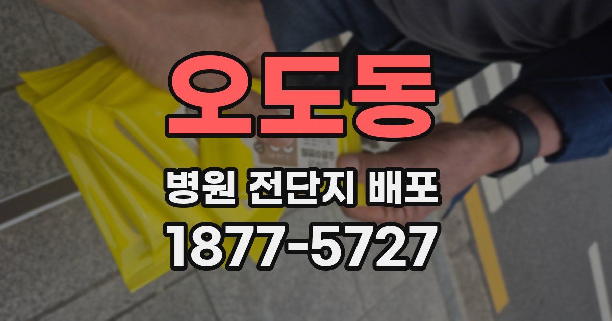 오도동 병원 전단지 배포