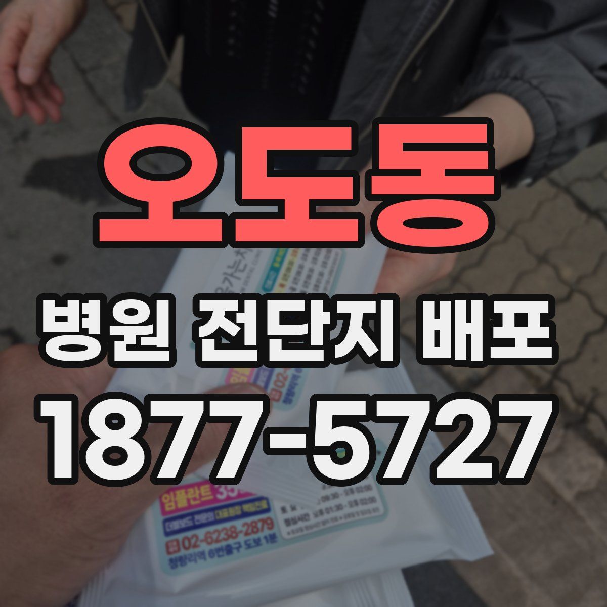 오도동 병원 전단지 배포