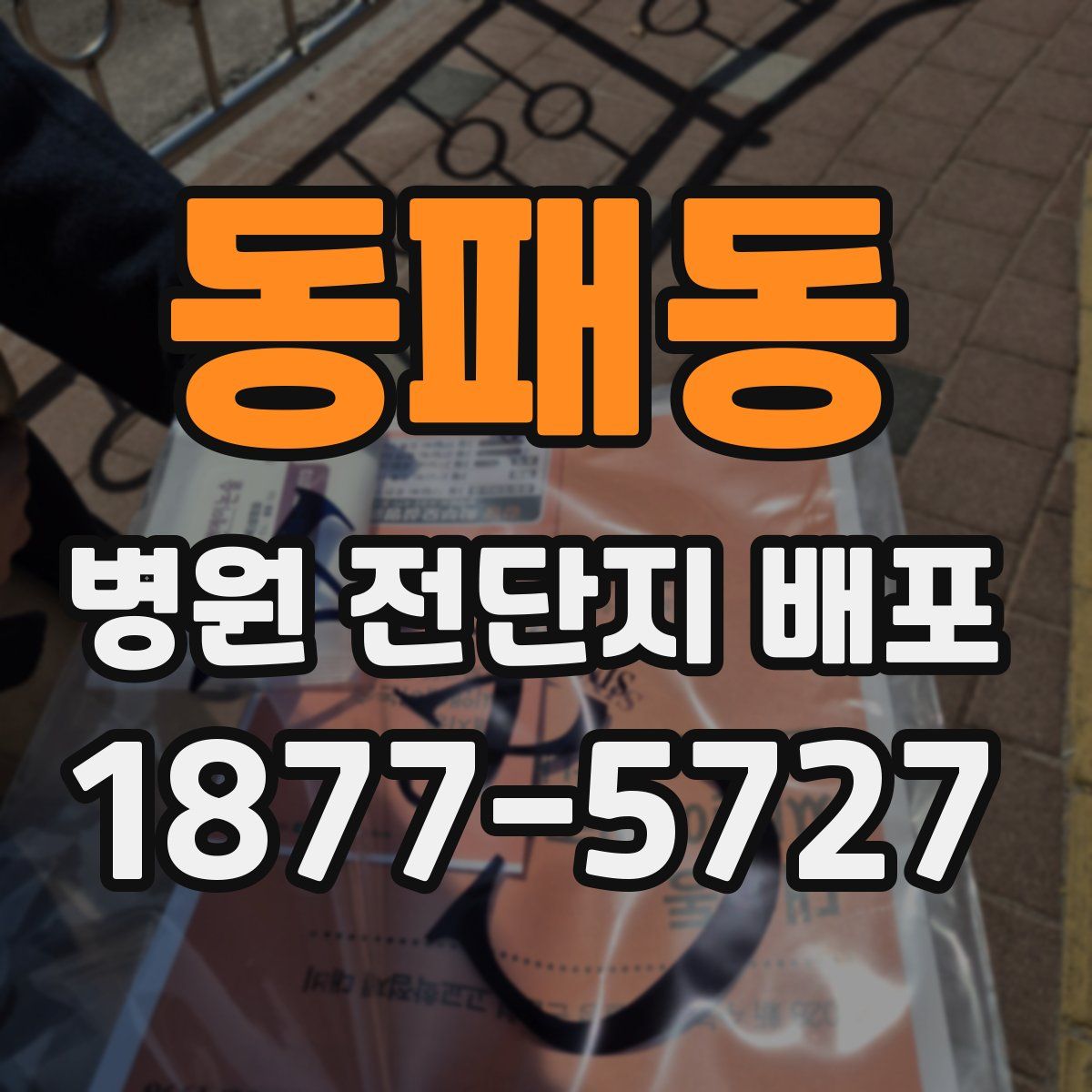 동패동 병원 전단지 배포