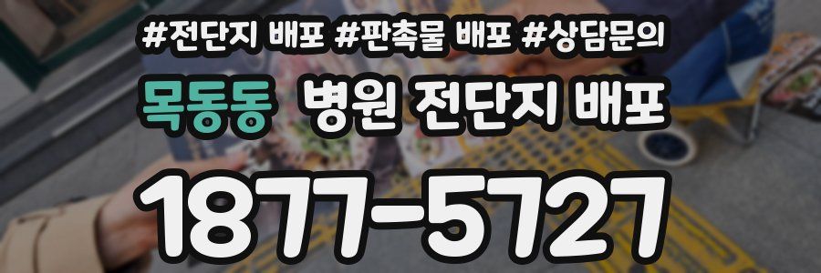 목동동 병원 전단지 배포