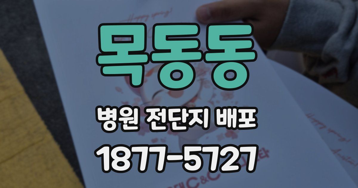 목동동 병원 전단지 배포