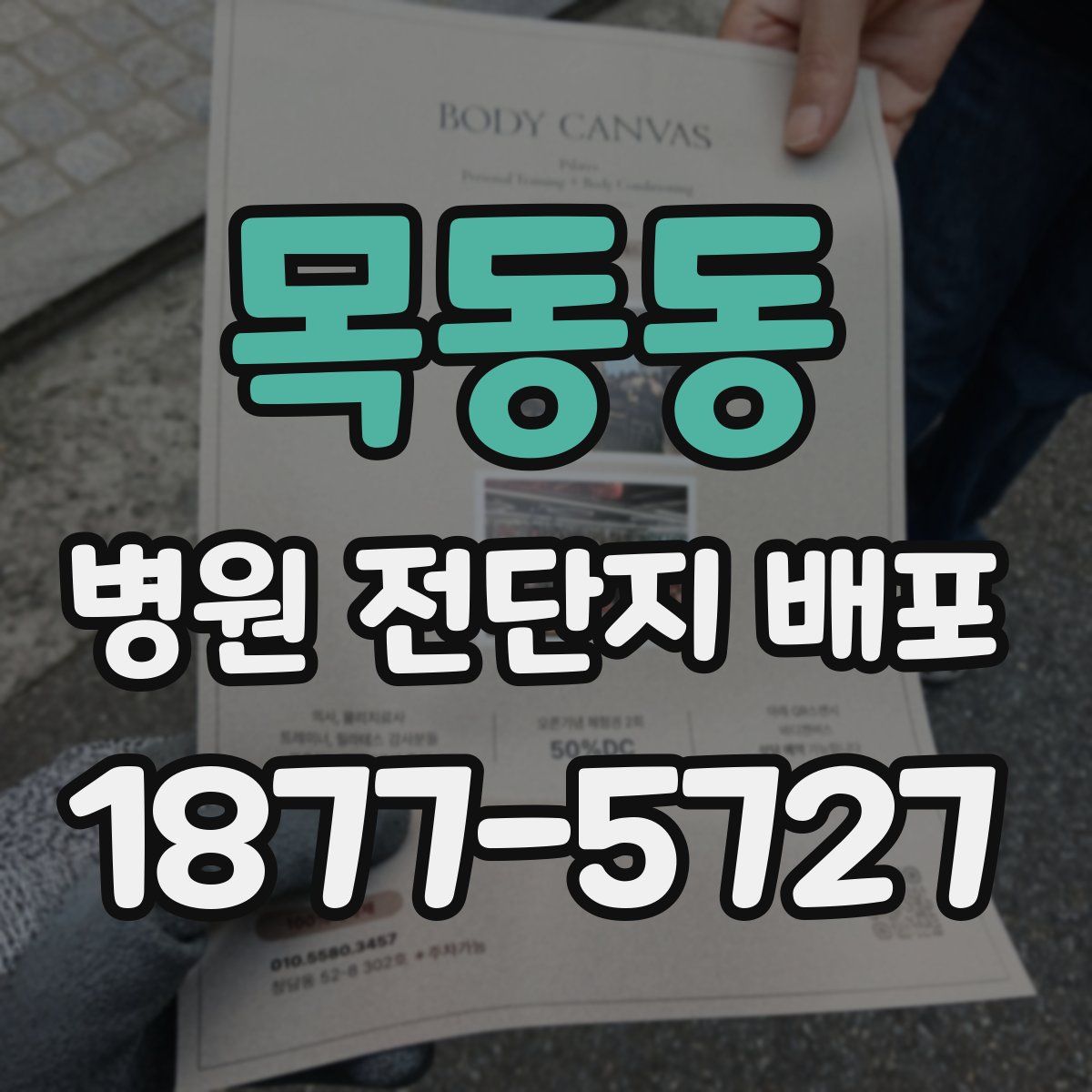 목동동 병원 전단지 배포