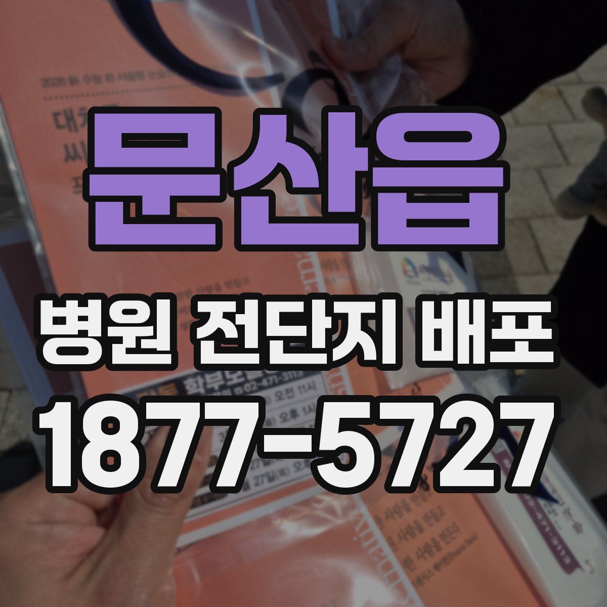 문산읍 병원 전단지 배포