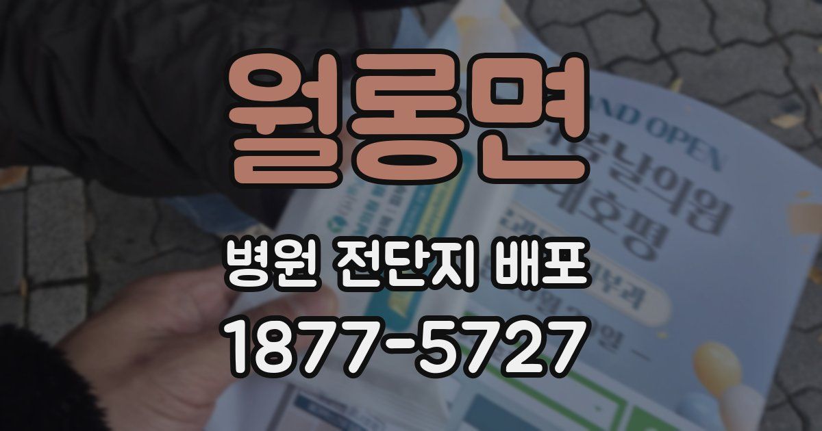 월롱면 병원 전단지 배포