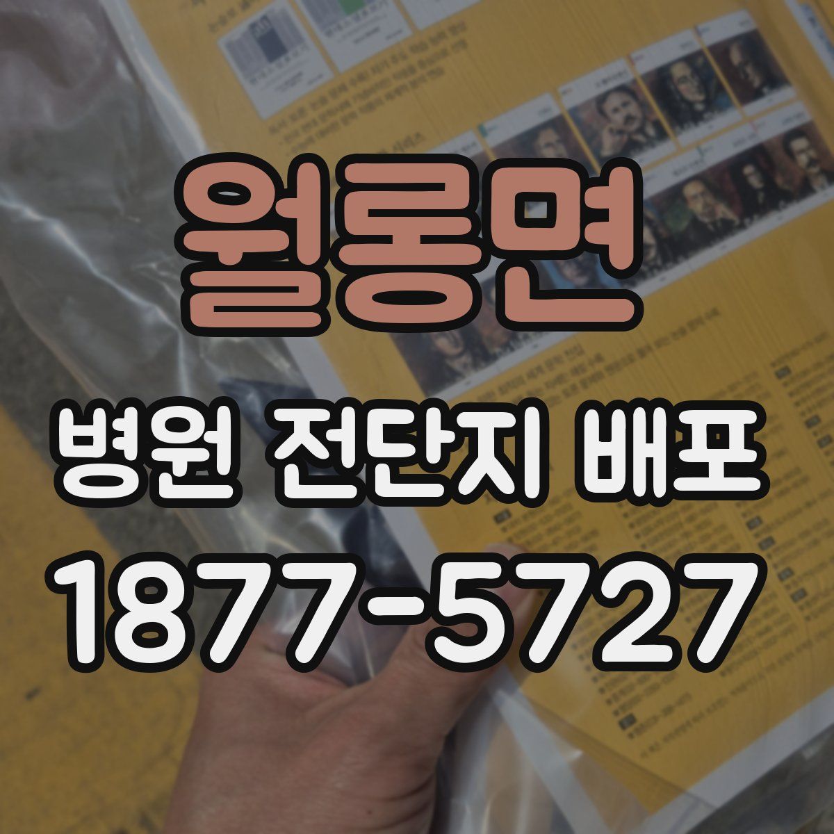 월롱면 병원 전단지 배포