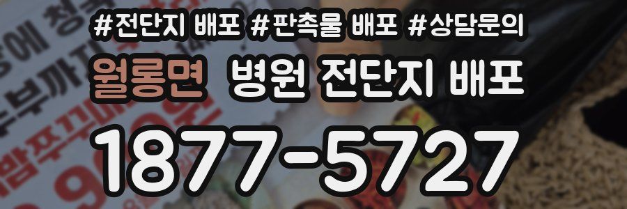 월롱면 병원 전단지 배포
