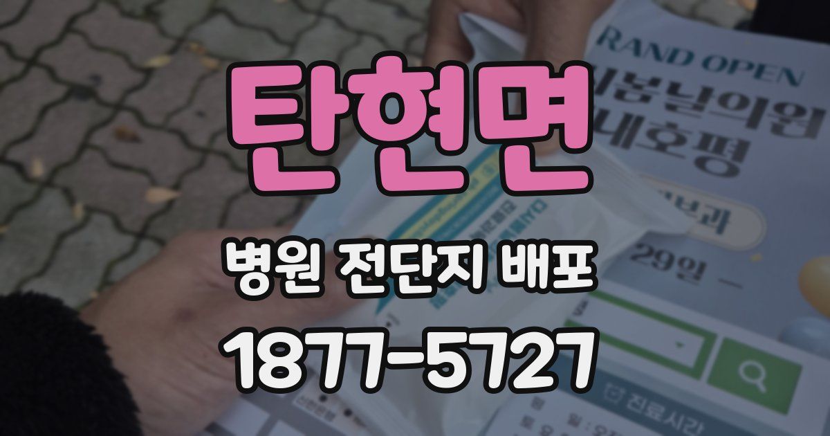 탄현면 병원 전단지 배포