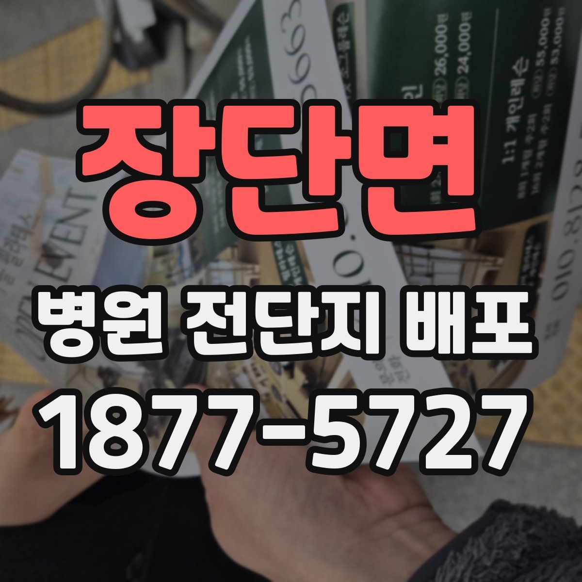 장단면 병원 전단지 배포