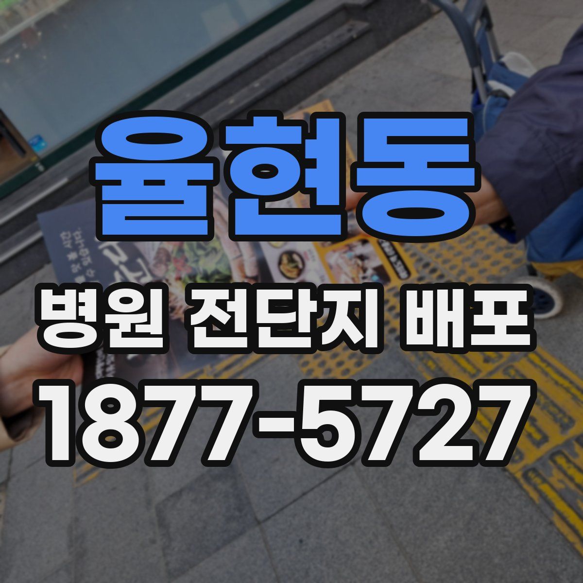 율현동 병원 전단지 배포