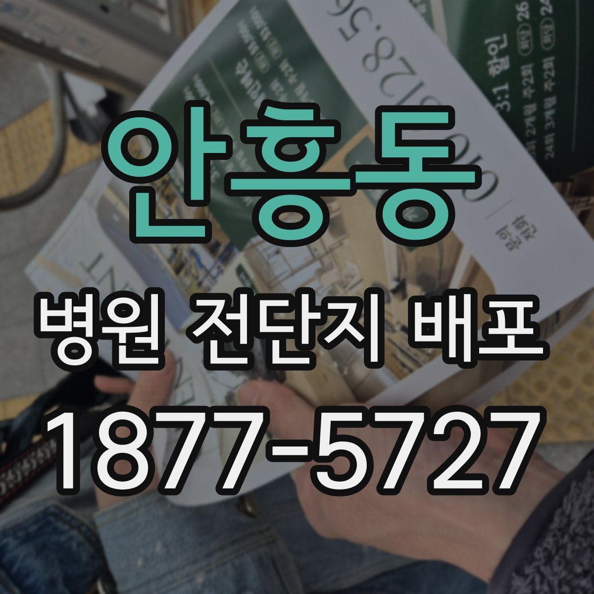 안흥동 병원 전단지 배포