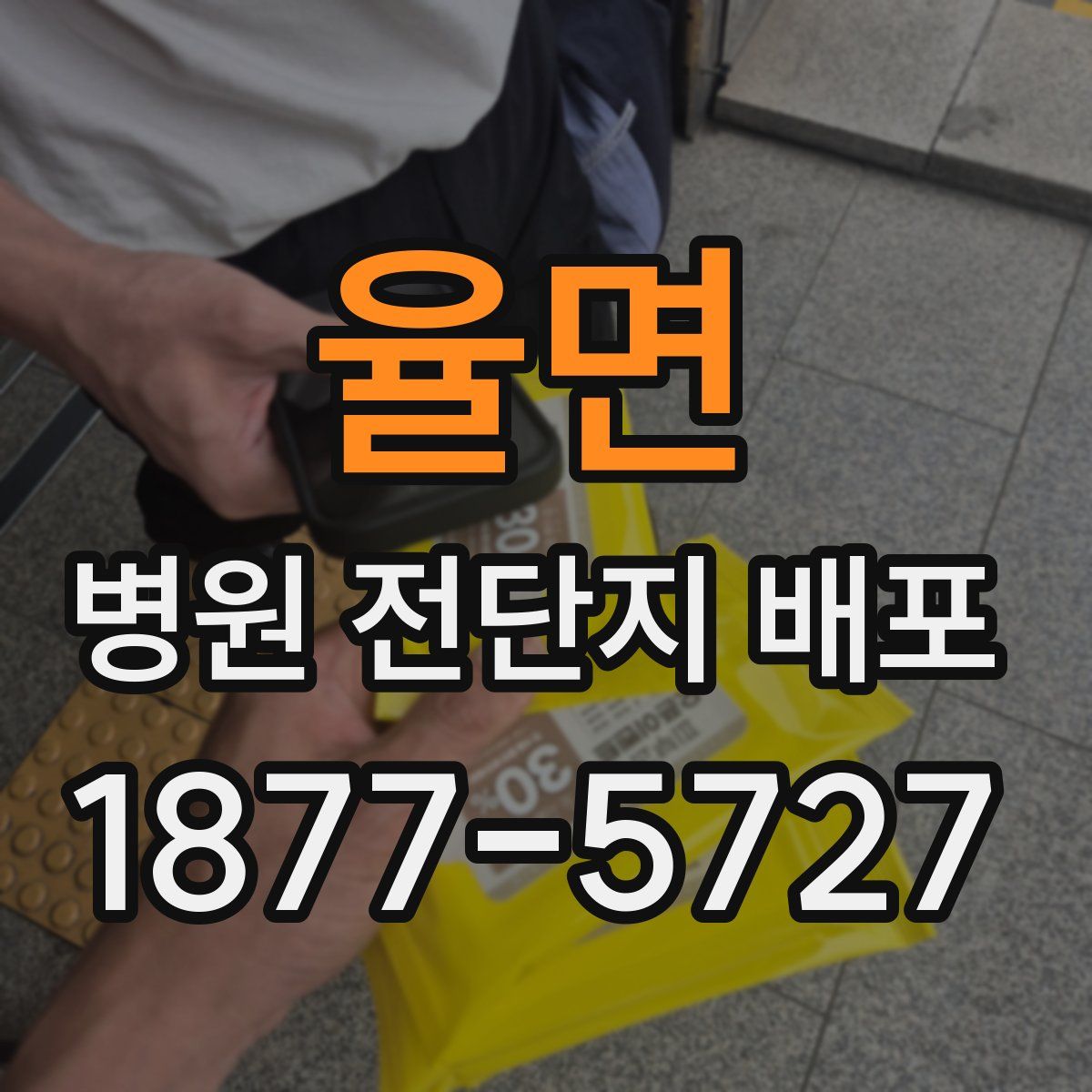 율면 병원 전단지 배포