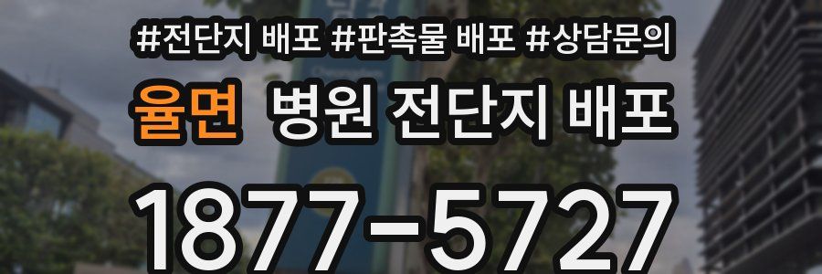 율면 병원 전단지 배포