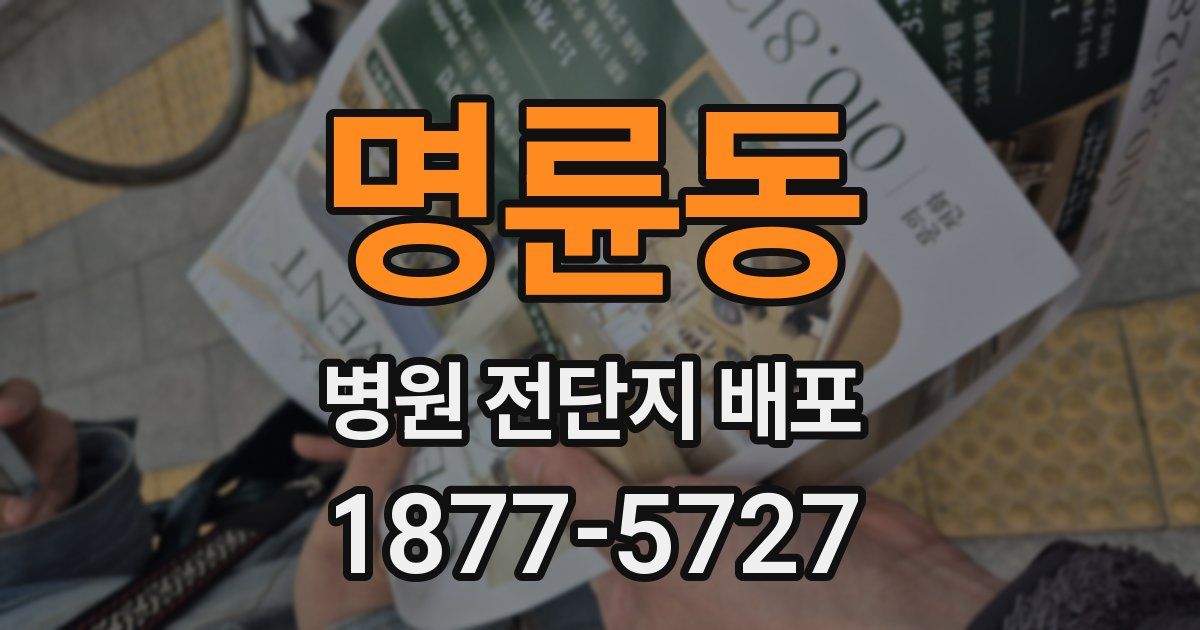 명륜동 병원 전단지 배포
