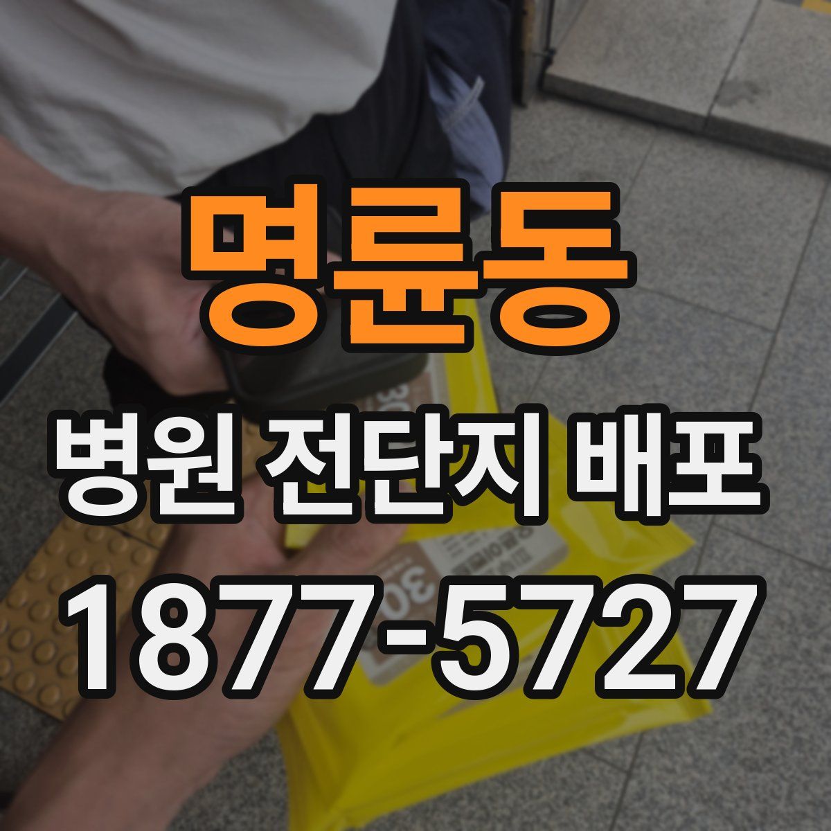 명륜동 병원 전단지 배포