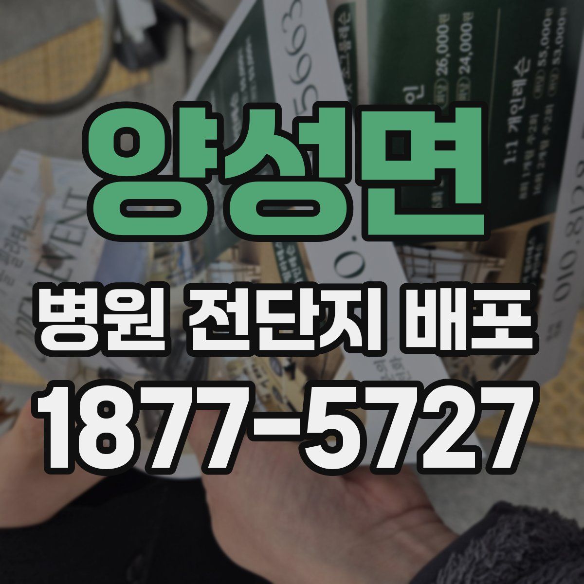 양성면 병원 전단지 배포