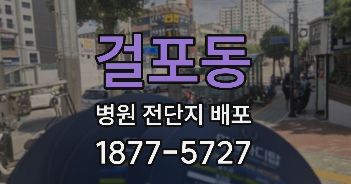 걸포동 병원 전단지 배포