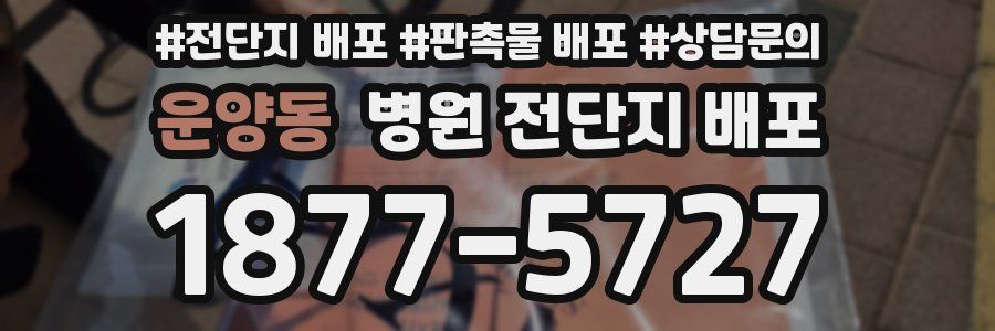 운양동 병원 전단지 배포