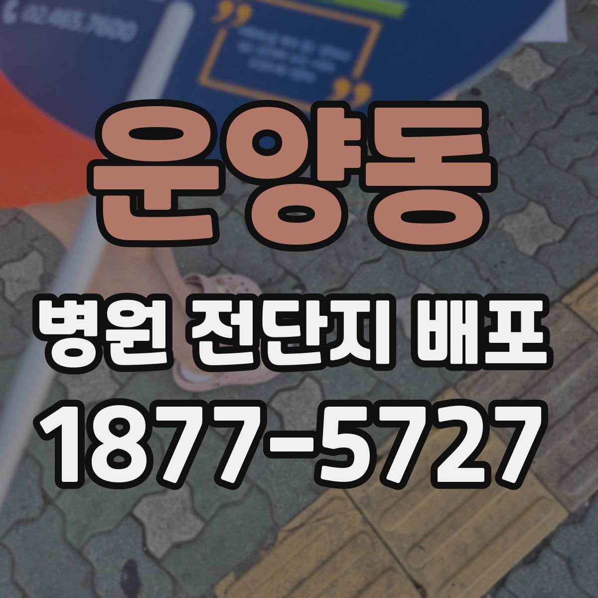 운양동 병원 전단지 배포