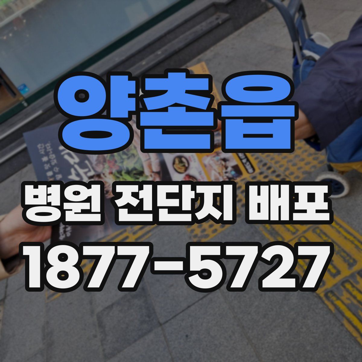 양촌읍 병원 전단지 배포