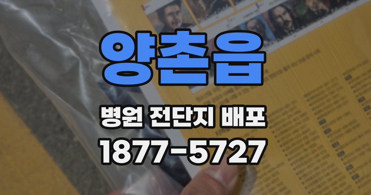 양촌읍 병원 전단지 배포
