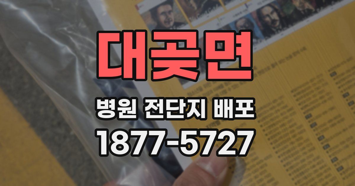 대곶면 병원 전단지 배포