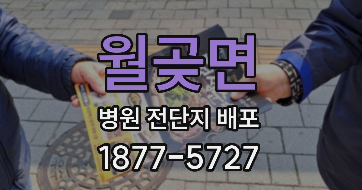 월곶면 병원 전단지 배포