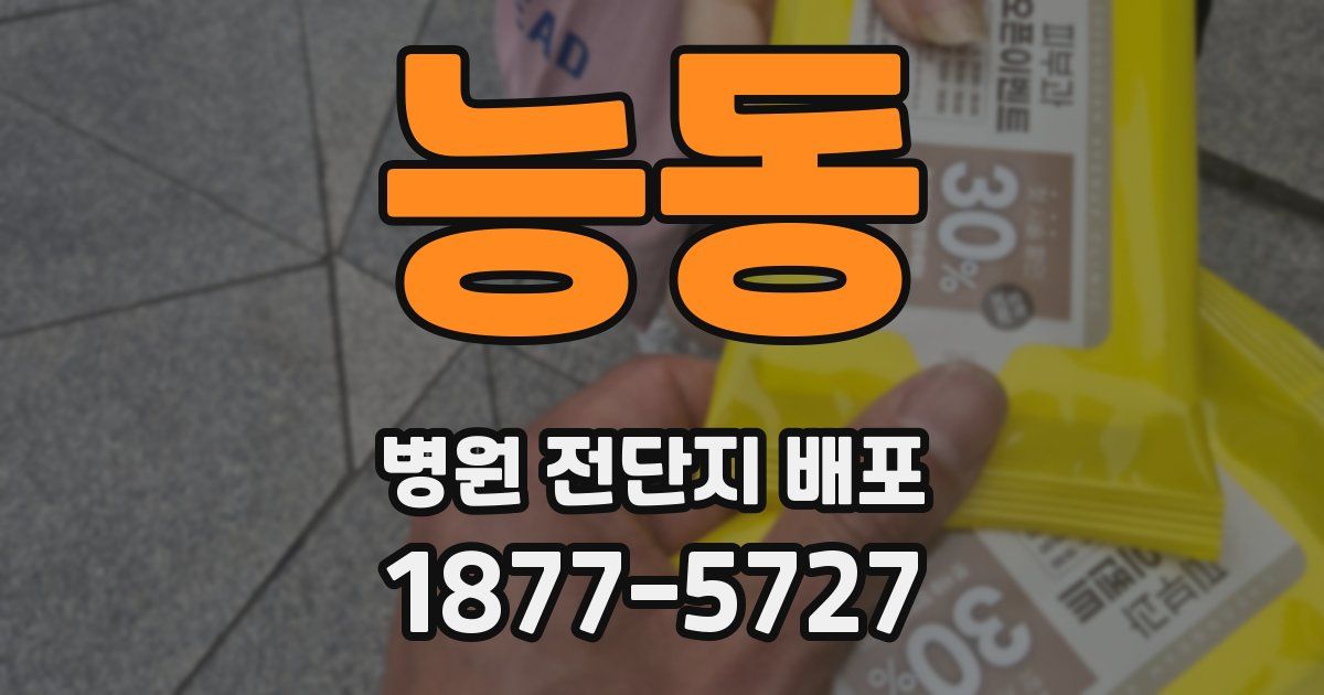 능동 병원 전단지 배포
