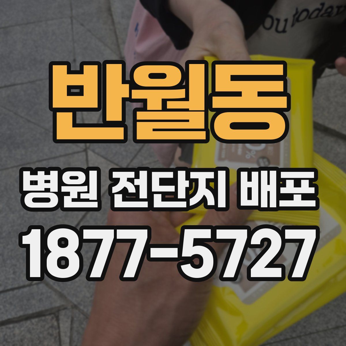 반월동 병원 전단지 배포