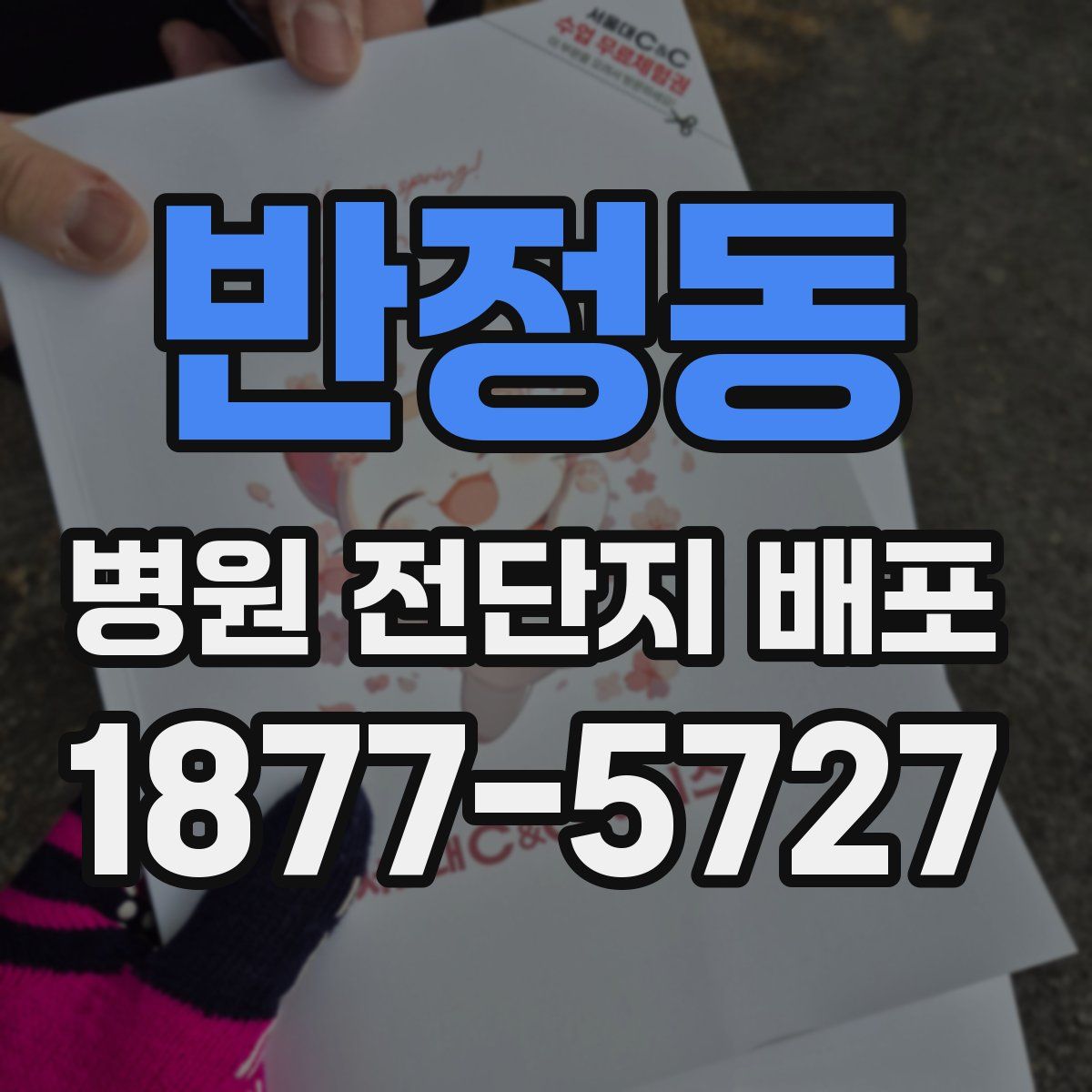 반정동 병원 전단지 배포