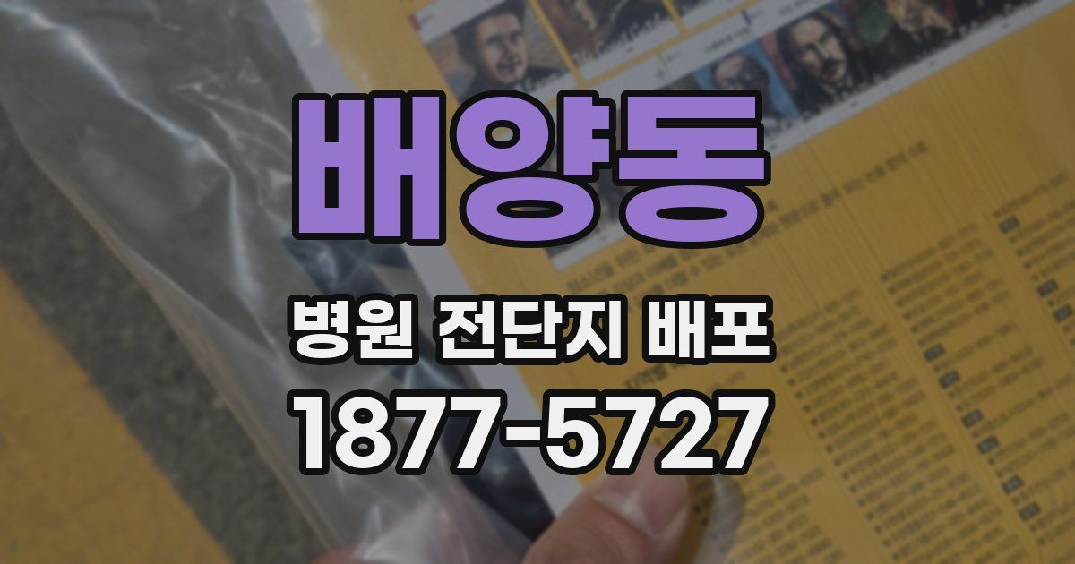 배양동 병원 전단지 배포