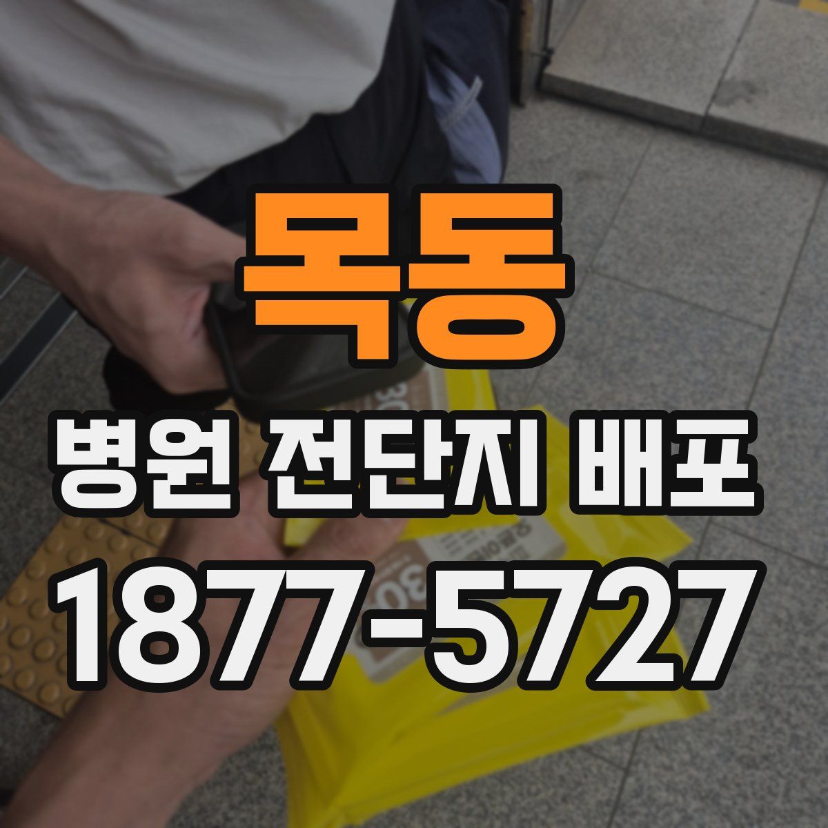 목동 병원 전단지 배포