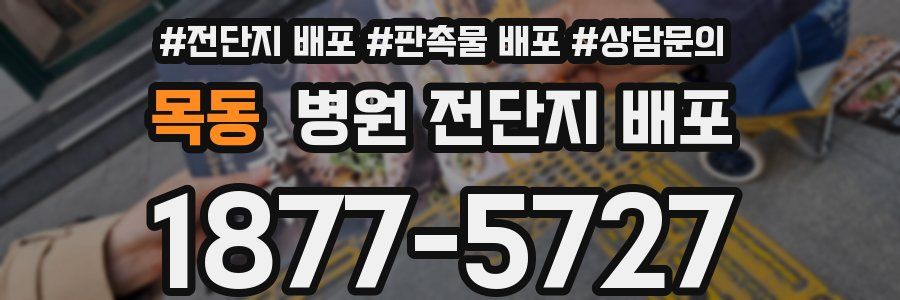 목동 병원 전단지 배포