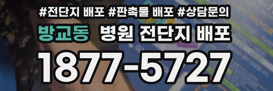 방교동 병원 전단지 배포