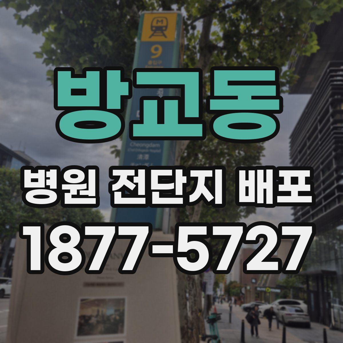 방교동 병원 전단지 배포