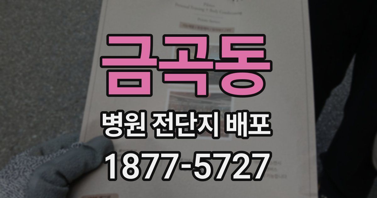 금곡동 병원 전단지 배포