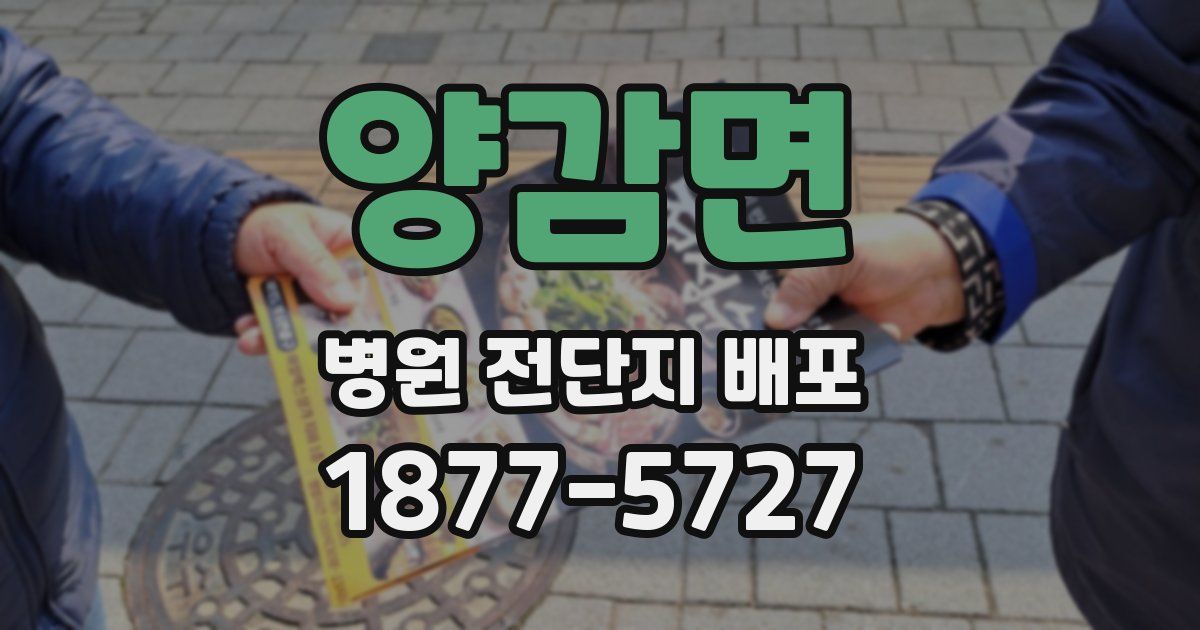 양감면 병원 전단지 배포