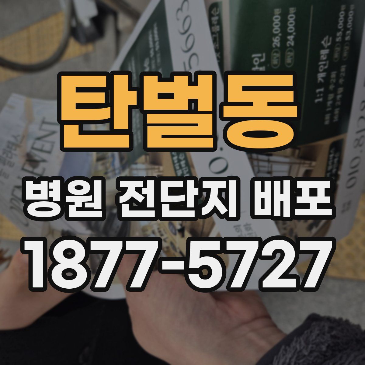 탄벌동 병원 전단지 배포