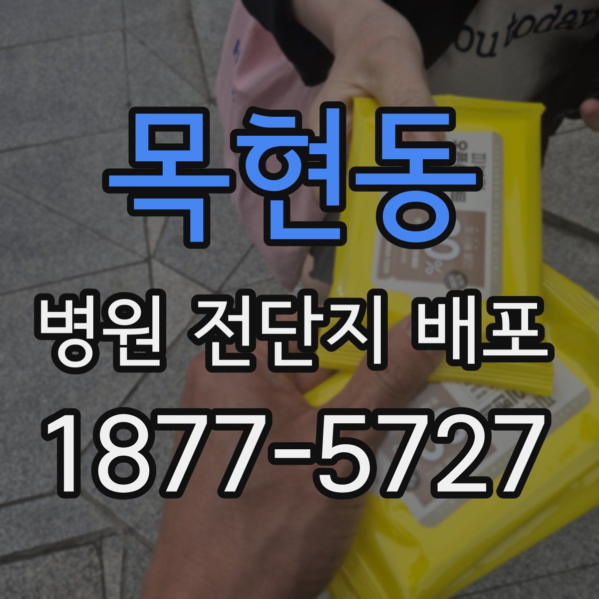 목현동 병원 전단지 배포