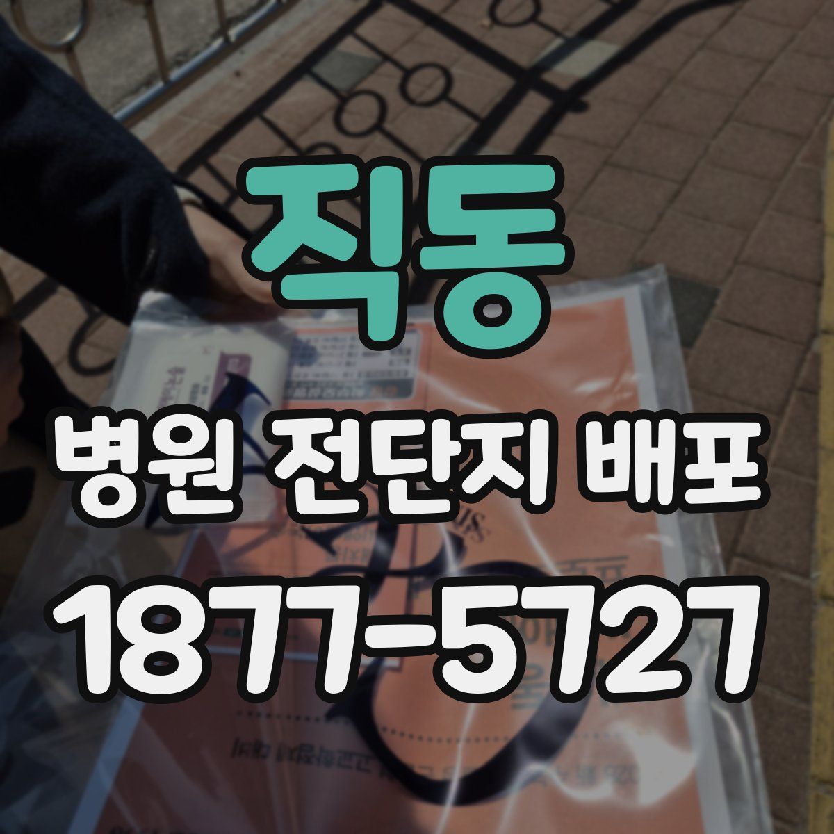 직동 병원 전단지 배포