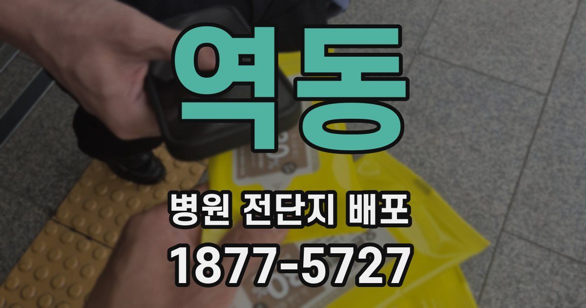 역동 병원 전단지 배포