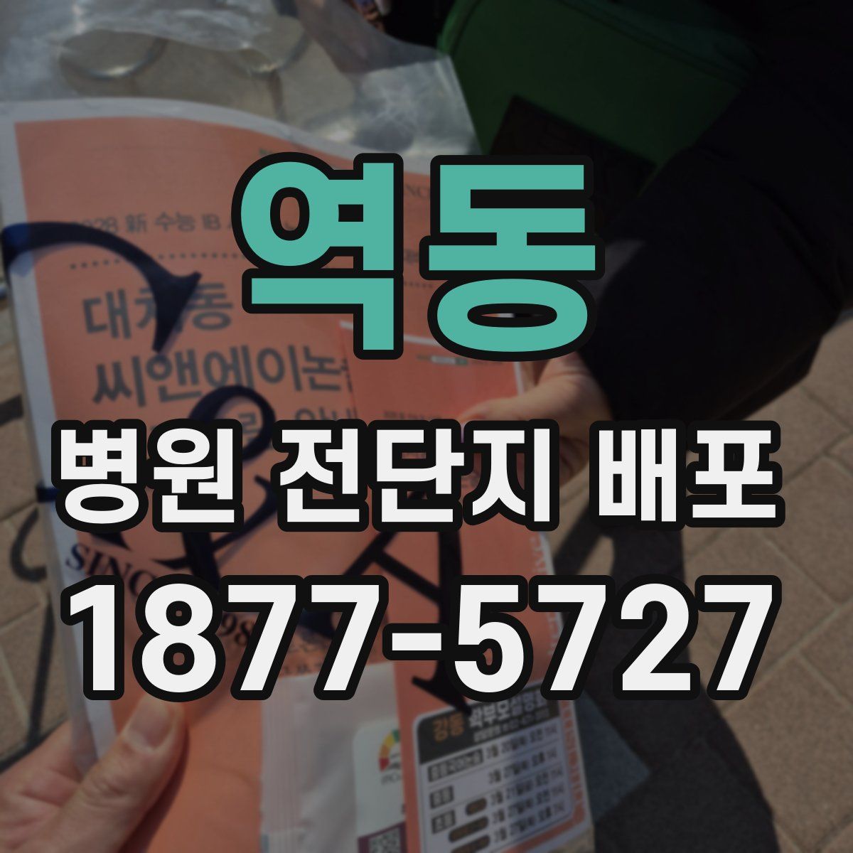 역동 병원 전단지 배포