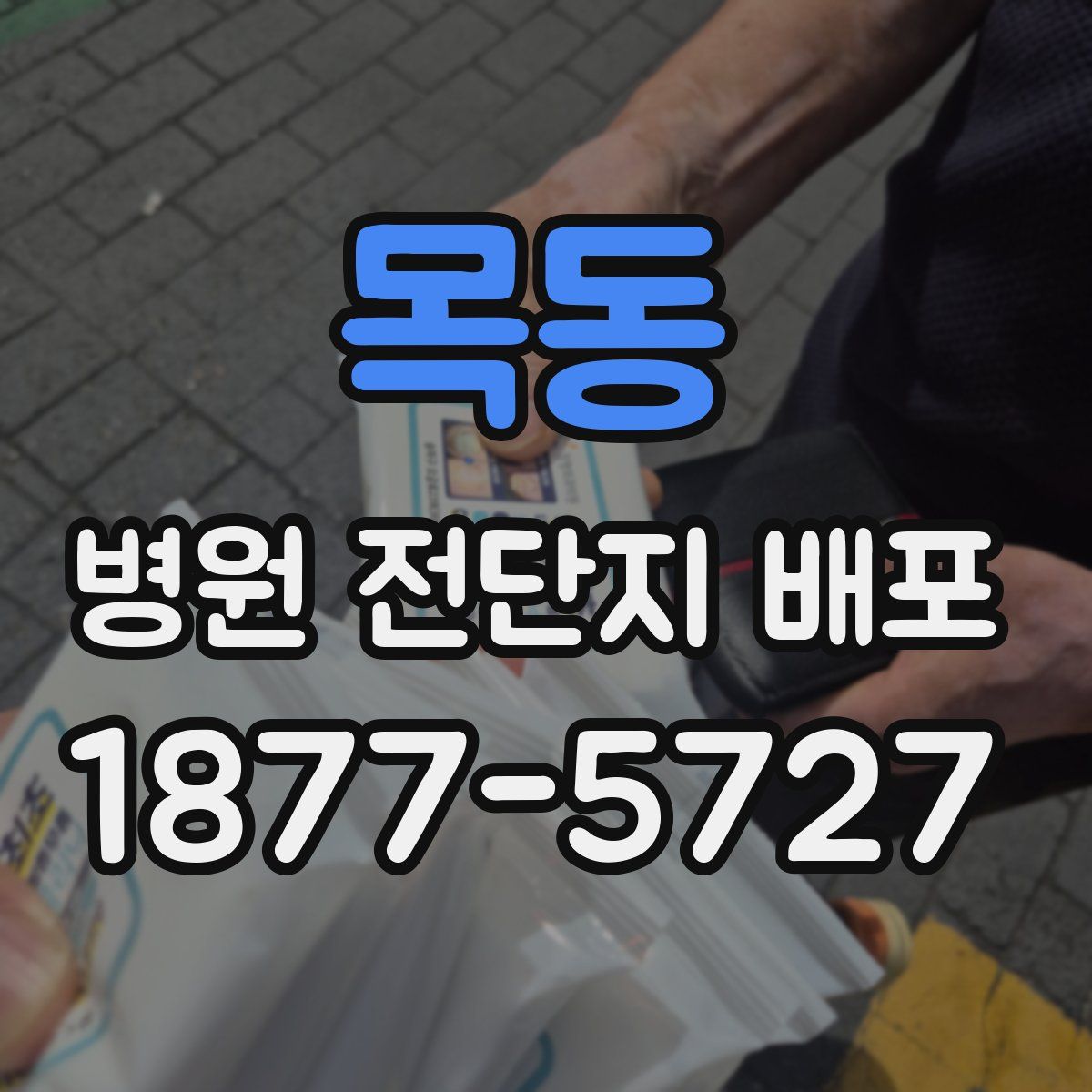 목동 병원 전단지 배포