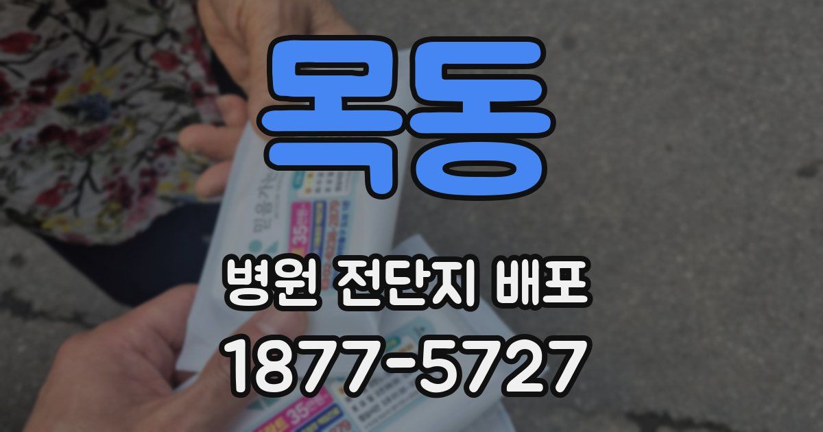 목동 병원 전단지 배포