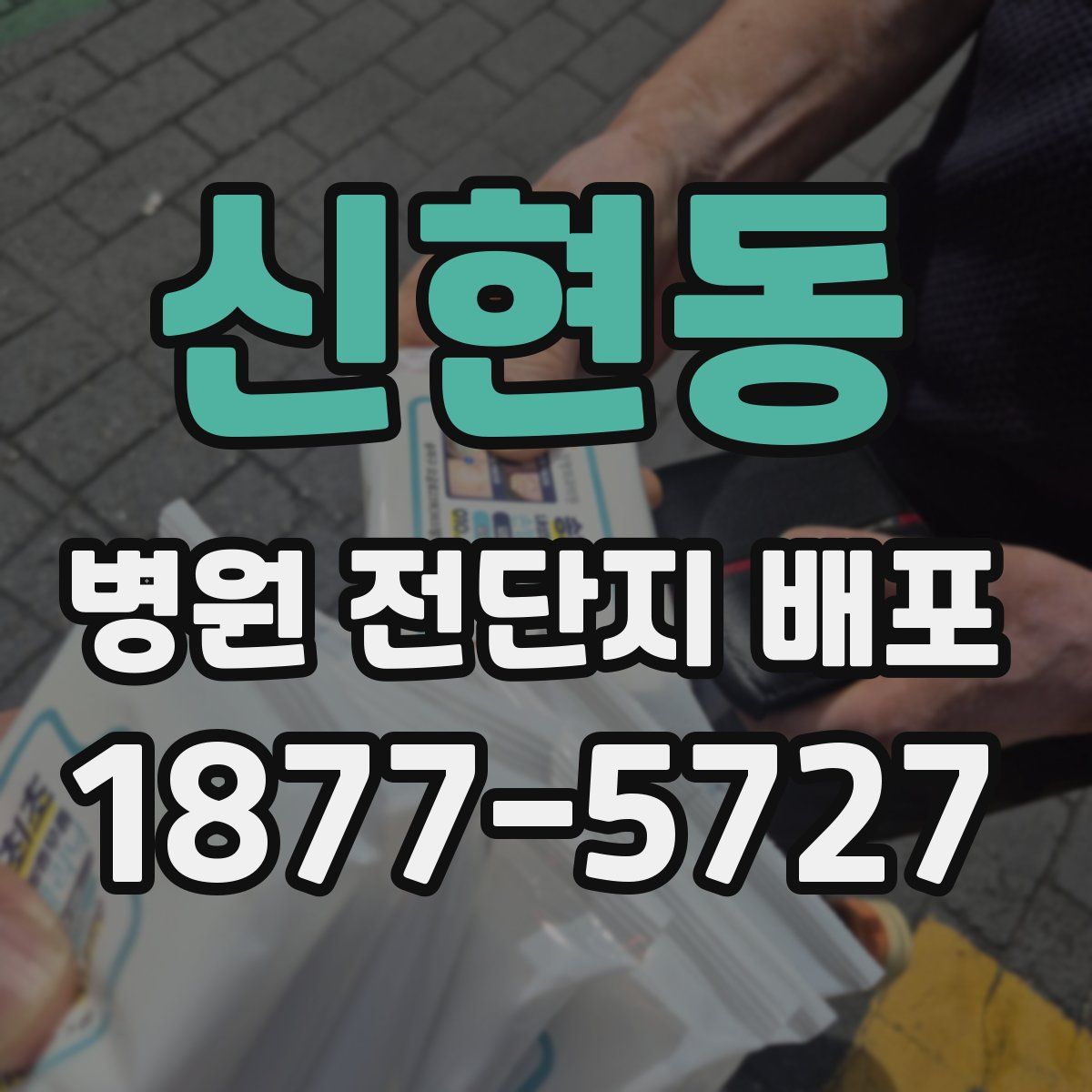 신현동 병원 전단지 배포