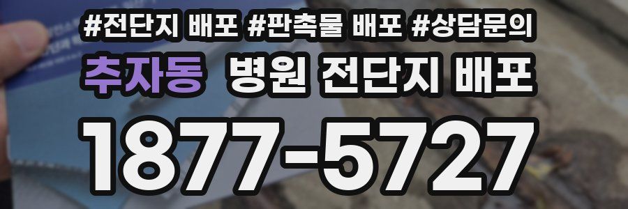추자동 병원 전단지 배포
