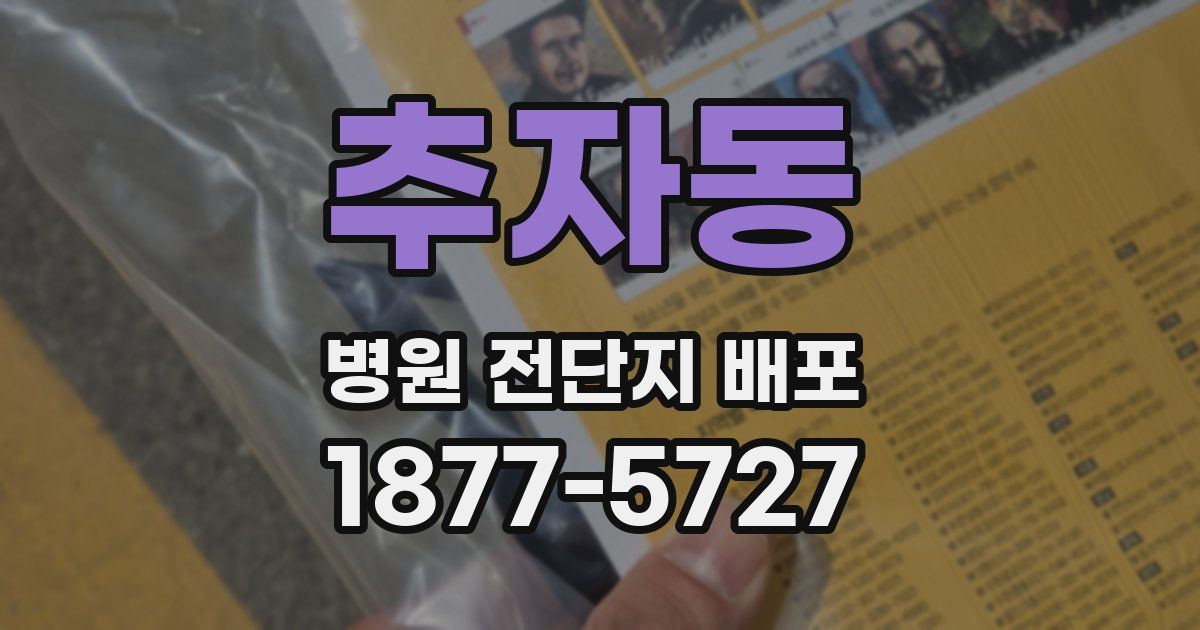 추자동 병원 전단지 배포