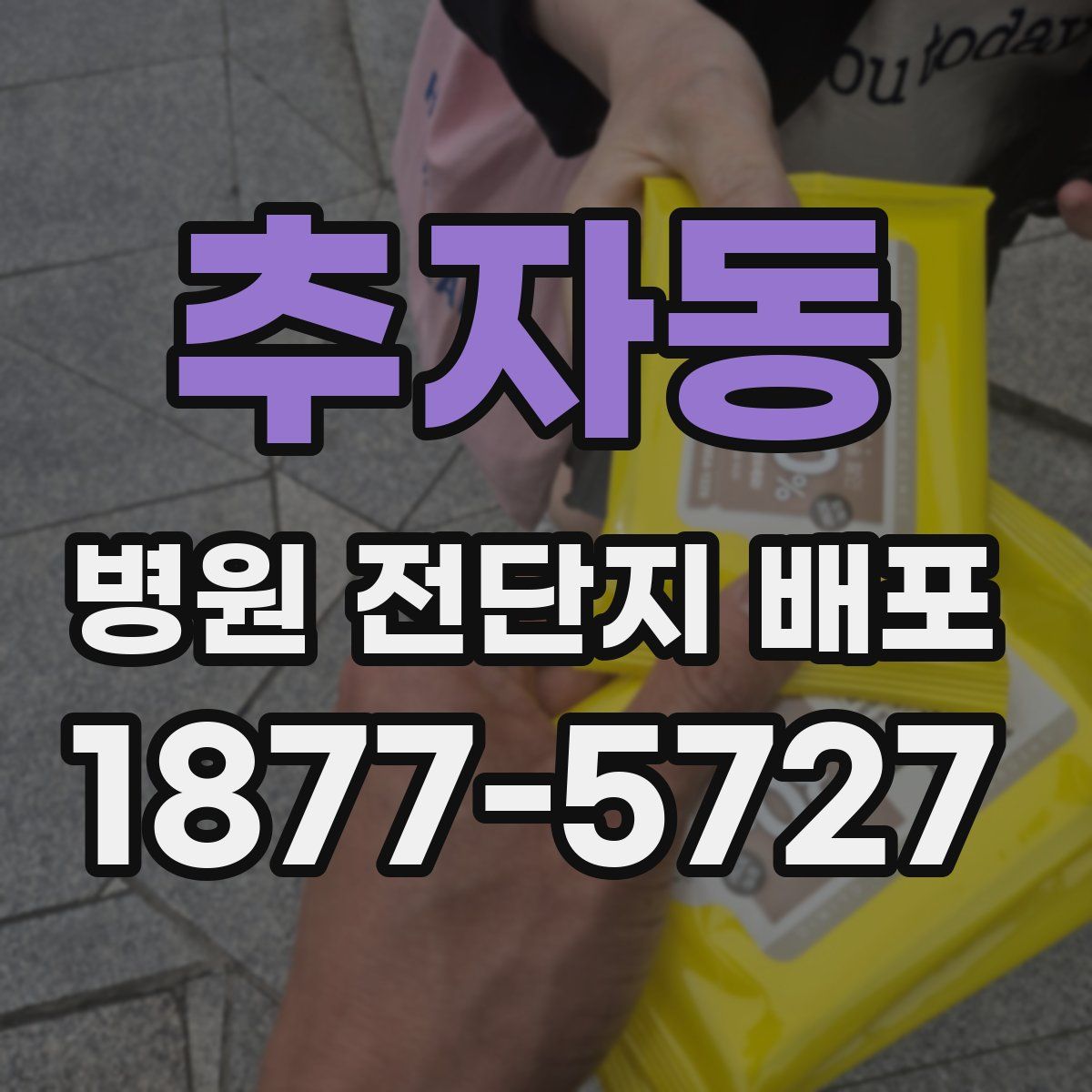 추자동 병원 전단지 배포
